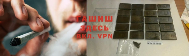 ГАЛЛЮЦИНОГЕННЫЕ ГРИБЫ Бородино
