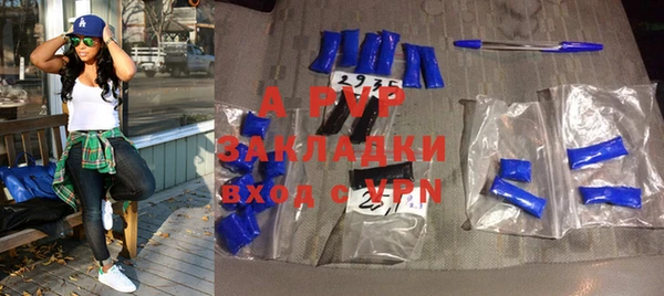 ГАЛЛЮЦИНОГЕННЫЕ ГРИБЫ Бородино