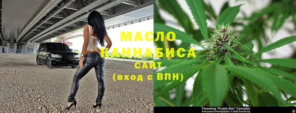 прущий лед Богданович