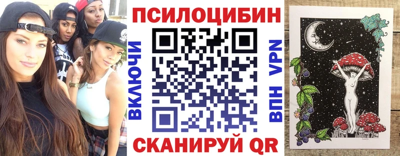 где продают наркотики  Пестово  мега   Псилоцибиновые грибы Psilocybe 